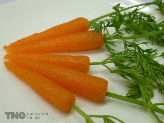TNO 3D printed carrots